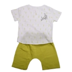Picture of Summer Suit White Shirt And Light Green Short For Kids (With Name Embroidery)